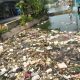Warga Depok Masih Acuh terhadap Sampah. Menurutnya Pemerintah Belum Tegas
